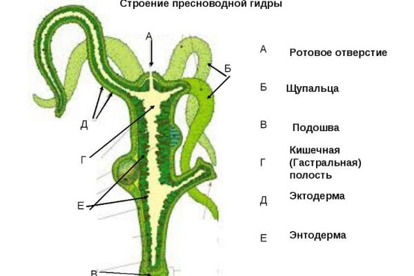 Ссылка кракен kraken torion net