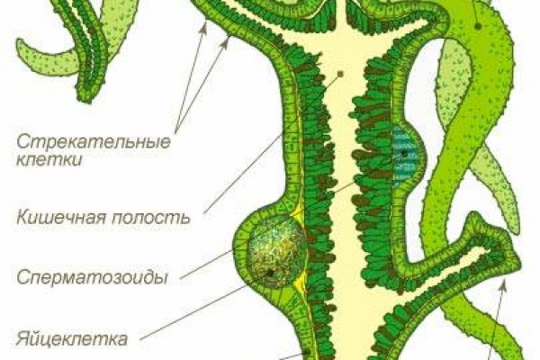 Кракен площадка kr2web in